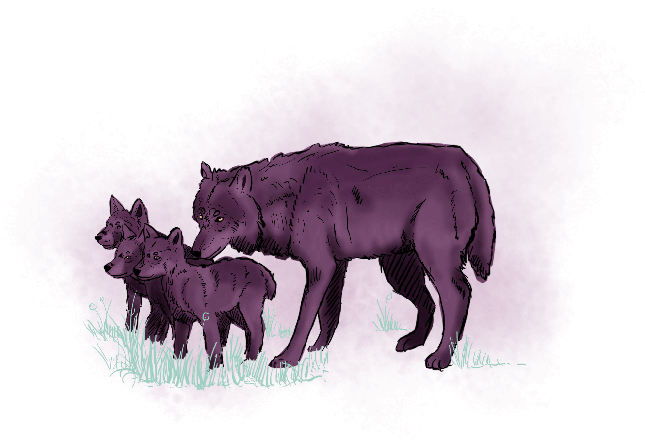 Wolfsfamilie
